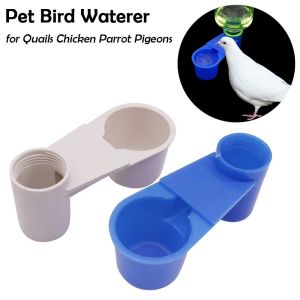 DOOUR Bottle Interface Pet Bird Waterer Plastic Large Capacity Parrot Cage Waterer Portable Thickened Automatic Drinker for Quails Chicken Parrot Pigeons