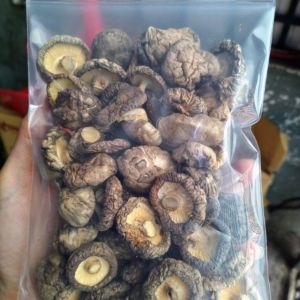 Nấm Đông Cô Khô ( nấm hương khô ) hàng chất lượng loại 1