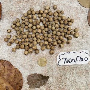 (5 biji) Kolase Buah Rotan MANGKO MINI Biji Rotan Properti Foto Properti Mahar Dekor Dekorasi Rustik