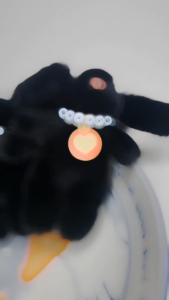 Plush Necklace Rabbit Charm Keychains Sweet Cute Pendant Car Keyring Backpack Decoration Fashion for Women Girls