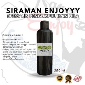 ESSEN NILA MUJAIR ESSEN SIRAMAN ENJOY ESSEN PENGUMPUL IKAN