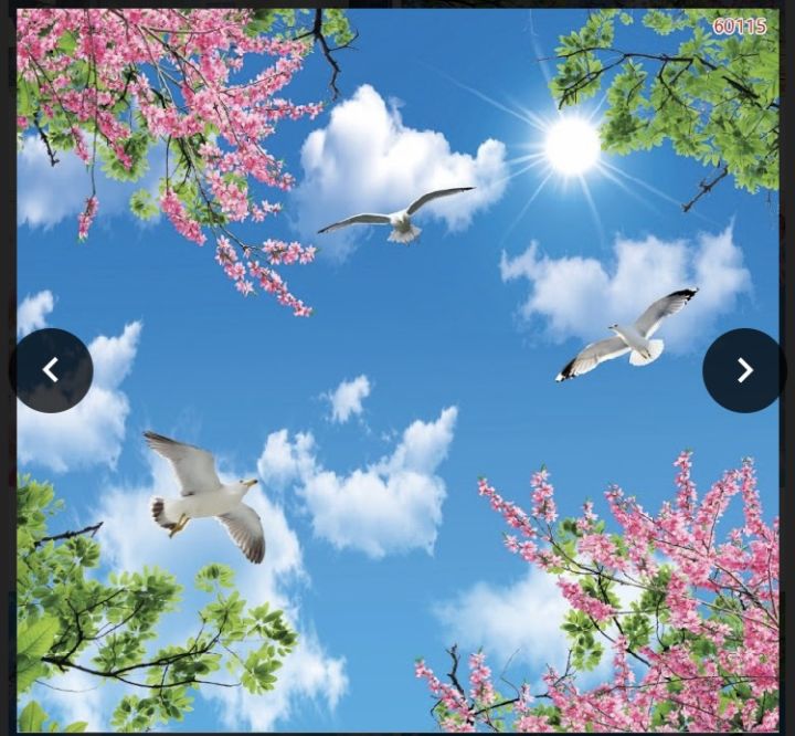 tranh%20d%C3%A1n%20tr%E1%BA%A7n%20nh%C3%A0%203D%20in%20V%E1%BA%A3i%20L%E1%BB%A5a%20-%20Image%201