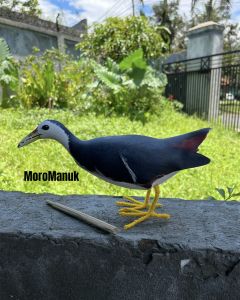 Patung Boneka Burung Ruak Ruak Model Baru Premium