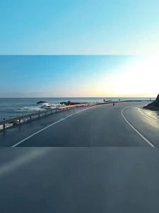 Xtep 160X 3.0 รองเท้าวิ่งมาราธอน PB คาร์บอน น้ําหนักเบา ทนต่อการเสียดสี สําหรับผู้ชาย