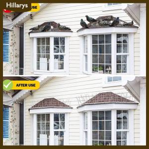 [Hillarys] ชุดตะปูหนามนกพิราบกันนกสแตนเลส อุปกรณ์ป้องกันนกขับไล่การควบคุมศัตรูพืชในสวนระเบียงระเบียง