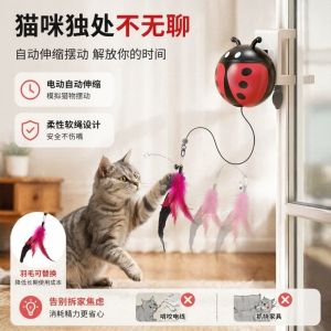 FREMRAG Creative Automatic Lifting Cat Toy Ladybug Retractable Electric Lifting Pet Toy Cat Accessories Bite Resistan Kitten Teasing Toy Indoor Playing