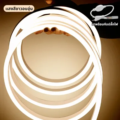 ไฟแถบนีออน neon flex LED ดัดงอได้ ยาว3/5/10ม สีสวยกันน้ำแรงดัน 220V เหมาะแก่การตกแต่งบ้าน ต่อปลั๊กให้พร้อมใช้งาน