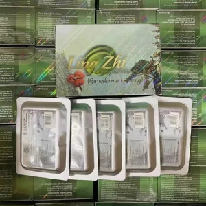 Ganoderma Ginseng Herbal Food Supplement Capsules | Daily Wellness Support for Adults