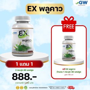 1 แถม 1 EXพลูคาว สมุนไพร พลูคาวสกัด พลูคาวสกัดสูตรเข้EXพมข้น ต้านเชื้อไวรัส ต่อต้านการอักเสบ เสริมสร้างภูมิคุ้มกัน 30 แคปซูล