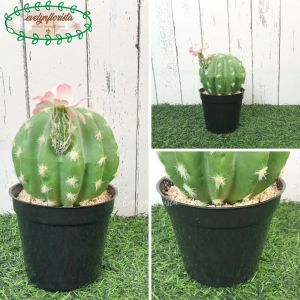 Tanaman Artificial Kaktus Mini Bunga Pink Variasi Pot Kaleng & Pot Dasar Hiasan Meja Tamu Aesthetic