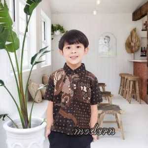 KEMEJA ANAK COWOK 3-10 TAHUN || KEMEJA ANAK BATIK || KEMEJA BATIK ANAK LAKI LAKI LENGAN PENDEK