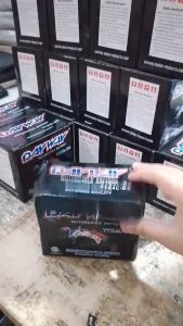 [Iwas Lowbat] Premium Original Dayway Motorcycle Battery Maintenance Free Heavy Duty 2.5 3L 4L 5L 5A 6.5 7L 7A 9A 9L For Scooter Underbone Tricycle Motor Accessories Exact Fit Piliin Ang Size Sa Variation PnP COD