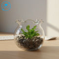 Bình Thủy Tinh Tròn Trong Suốt D11cm B7 – Cắm Hoa, Nuôi Cá Mini, Decor Nhà Cửa. 