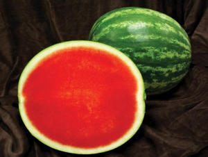 Seedless Watermelon Seeds Giant Variety with free seeds Melon or any random seeds 12 kg to 17kg per fruit harvest