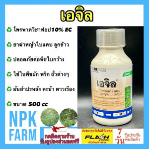 เอจิล โพรพาควิซาฟอบ 10% W/V EC ขนาด 500 ซีซี ฆ่าหญ้าใบแคบ ในพืชใบกว้าง ปลอดภัย ใช้ใน ผักชี คะน้า มะเขือเทศ มันสำปะหลัง ดาวเรือง พริก ถั่วต่างๆ
