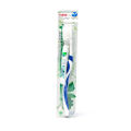 Dentiste Perfect Gum and Tooth Protection Toothbrush (Assorted Color). 
