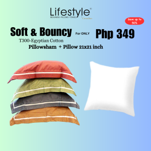 High Satin Egyptian 300TC Cotton Pillow Sham (THROW PILLOW CASE)  Plain Pattern - Soft & Bouncy Bedding Accessory 21x21 inch