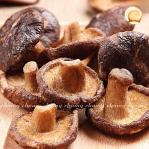 Nấm hương sấy giòn Chamy Food ăn liền không chất bảo quản Snack nấm hương thơm ngon giòn rụm healthy tốt cho sức khỏe