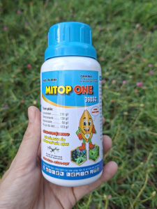 [TRUNG THIEN THINH] Trừ lem lép hạt lúa nếp MITOP ONE chai 240ml làm sáng hạt sạch nấm bệnh