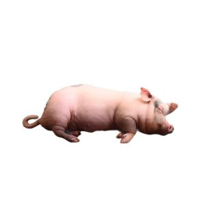Realistic Pig Plush Toy Funny Ugly Cute Pig Stuffed Animal Soft Simulation Pig Pillow Plushie Adorable Pig Plush Kawaii Piggy Pl Toys Home Decor Gift