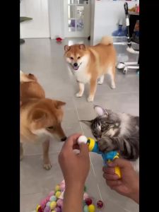 Cat toy plush ball plush ball self soothing quiet silent plush ball elastic bite resistant cat teasing stick