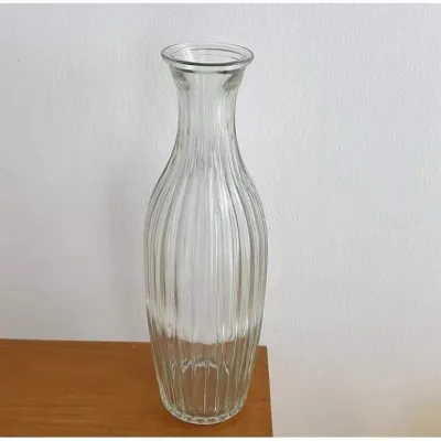 TENGYAGAO | Modern Minimalist Clear Glass Vase For Hydroponic Plants And Floral Arrangement Decor ☀0414x