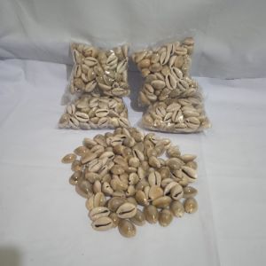 Biji Congklak Uk. Besar ( Pjg 20 - 25 cm ) Asli Kerang Laut isi 100 biji (Berat 200 - 250 gram) Realpict