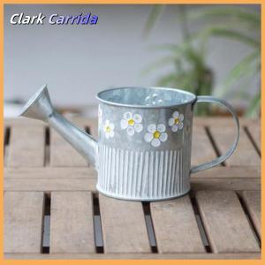 [Clark Carrida] Chậu hoa sắt cổ điển Bình Hoa Để Bàn Chậu hoa cây chậu cây ban công