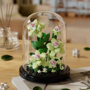 LELE Mainan DIY Plant Kotak Tampilan Untuk Bunga Kreatif Untuk Romantis Dekorasi Desktop