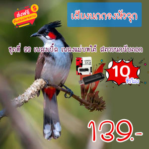 G8shop เสียงนกกรงหัวจุก ชุดที่ 22 เพลงเบิ้ล เพลงแม่บทใต้ สตายนกนับดอก mp3 ความยาว 10 ชม.เสียงชัด เสียงใสกังวาน ได้ผล100%