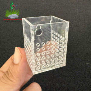 Cốc Đựng Trùng Mica Vuông – Tam Giác Hộp Cho Cá Ăn Trùn Chỉ Trùn Đông Lạnh Artemia