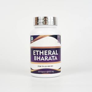 Obat Epilepsi Paling Ampuh Obat Kejang Obat Ayan Obat Stroke Ampuh 100% ORIGINAL ETHERAL BHARATA