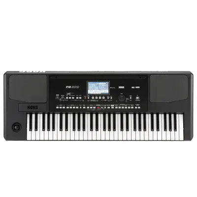 Korg Pa300 61-key Arranger Workstation