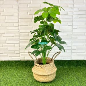 Pohon Hias Tanaman Artificial Daun Walisongo X12 Semilatex Cover Pot Purun Belly Dekorasi Sudut Ruangan