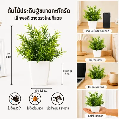 ต้นไม้ปลอมเล็ก ไม่ต้องรดน้ำ บอนไซปลอม พืชประดิษฐ์ ของตกแต่งบ้าน ดูเป็นธรรมชาติ ต้นไม้ปลอมพร้อมกระถาง มีให้เลือกมากมายหลายแบบ
