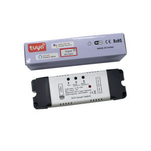 Smart lift tuya WiFi RF Autogate 2 channel Smart Controller works with Amazon Alexa / Google / TMall / Siri