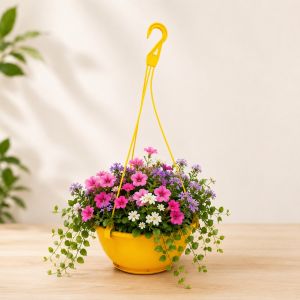 Chậu Treo Tự Dưỡng Có Đĩa Trữ Nước Và Thoát Nước Có Dây Treo Tiện Dụng Nhiều Màu Sắc Và Kích Cỡ Để Lựa Chọn