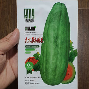 Hạt giống dưa gang nhập khẩu ruột đỏ vỏ xanh siêu dễ trồng -shop Hoang My food and beauty