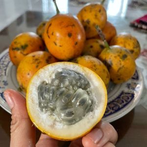 buah markisa madu Konyal 500gr  manis