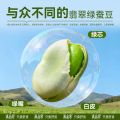 【PandaMunch】Dianpinke Green-Heart Broad Beans – Crispy & Savory 滇品客绿心蚕豆. 