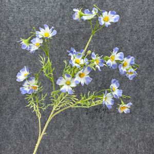 Cành Xuyến Chi 6N Thân Lông Hoa Lụa Cao Cấp Trang Trí Sự Kiện Chụp Ảnh. Hoa Lụa LyLy Decor