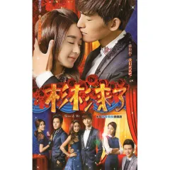 古装电视剧洪熙官DVD碟片光盘全集完整版甄子丹张家辉Complete