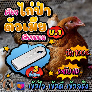 เสียงไก่ป่าตัวเมีย V.1 เสียงตอด ต่อไก่ล่อไก่ แฟลชไดร์ฟเสียงไก่ป่าตัวเมียตอด ชัดเสียงใส ไม่มีโฆษณาแทรก พร้อมส่ง! มีเก็บเงินปลายทาง!!