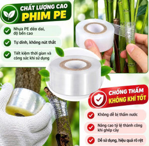 BĂNG DÁN GHÉP CÂY PE | COMBO 2 CUỘN 4CM X 200M/CUỘN | BĂNG QUẤN CÀNH TRONG SUỐT CO GIÃN