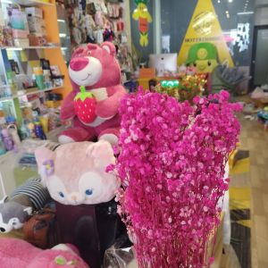 Bó Hoa BABY Khô Size Lớn 5 đến 7 Cành Loại 1 Chuẩn Đẹp - decor- bình hoa- hoa khô trang trí cafe trà chanh trà sữa quán ăn Trùm Sỉ Gia Thành