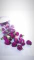 ANNE&CO BALI DRY LOCAL FLOWERS || BUNGA RATNA KENOP PURPLE 25 Gr. 