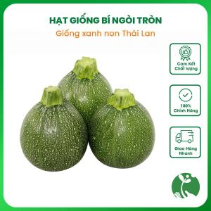 Hạt giống Bí ngòi (Bí ngồi) tròn xanh non - Gói 2gr khoảng 12 hạt - Nhập Thái Lan