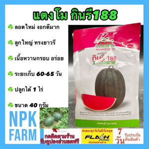 ตะวันต้นกล้า แตงโม กินรี 188 หมดอายุ 03/2570 ขนาด 40 กรัม ลอตใหม่ งอกดี ลูกใหญ่ ทรงยาวรี น้ำหนัก 5-8 กิโลกรัม อายุ 60-65 วัน 1 กระป๋อง ปลูกได้1ไร่ npkplant