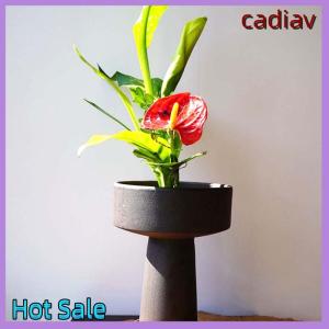 cadiav Ikebana kenzan ทรงกลมกบดอกไม้พร้อมปะเก็นยางเครื่องมือการจัดเรียงแบบคงที่