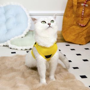 FORUM Breathable Dog Vest Mesh Bee Pattern Dog T-Shirt Fashion Comfortable Pet Apparel for Dogs Cats